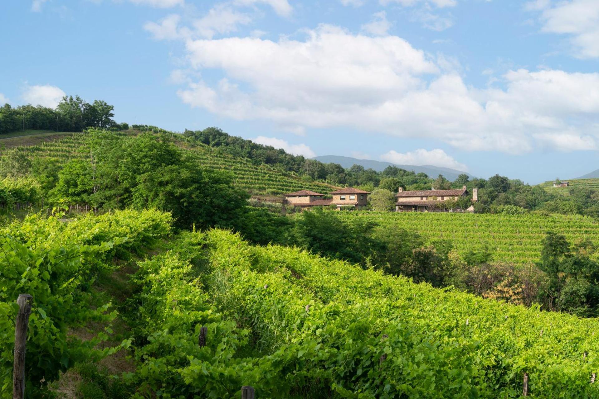 Lis Fadis Wine Relais Villa Cividale del Friuli Eksteriør billede